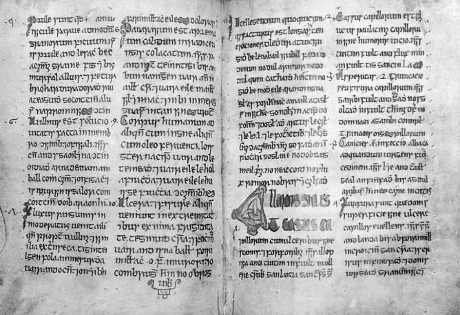 Гэльский манускрипт