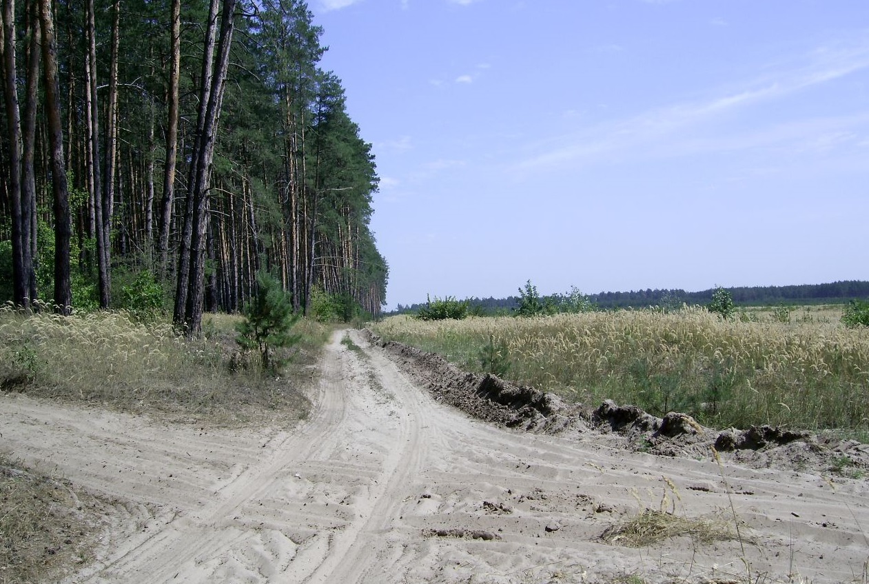 Окрестности села Яцкое в Донецкой области